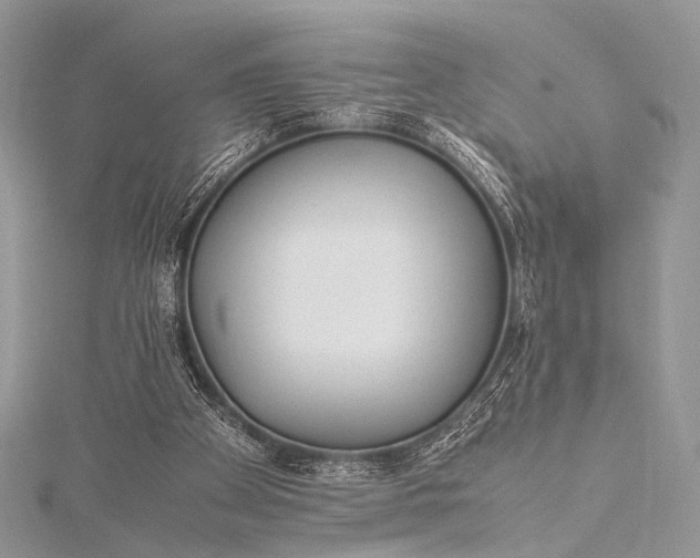 X0000115540105200911201748