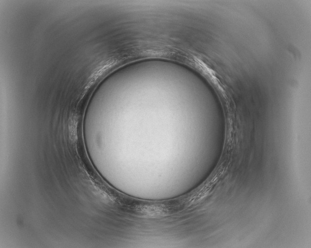 X0000115540106200911201748