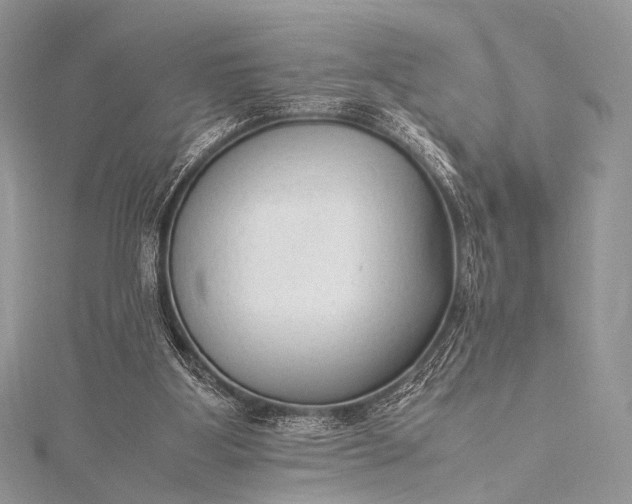 X0000115540107200911201748