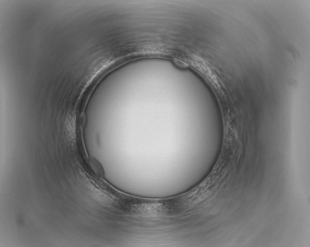 X0000115540108200911201748