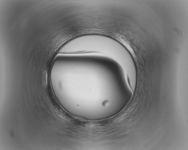 X0000115540109200911201748