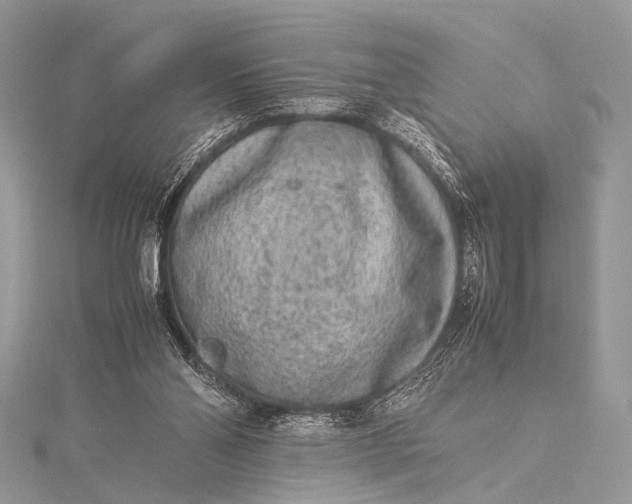 X0000115540110200911201748