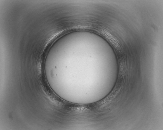 X0000115540112200911201748