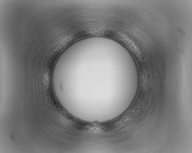 X0000115540113200911201748