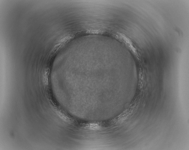 X0000115540114200911201748