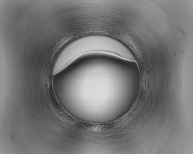 X0000115540116200911201748