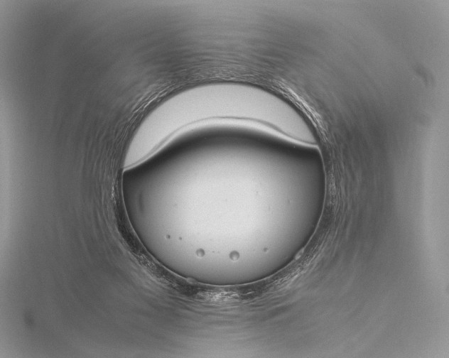 X0000115540117200911201748