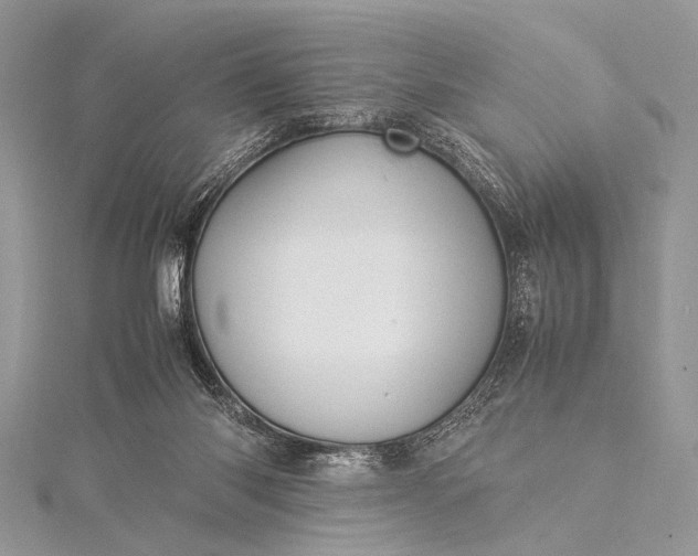 X0000115540118200911201748