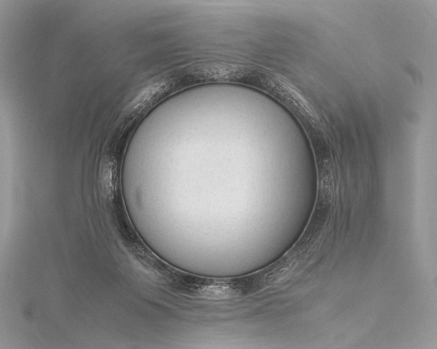 X0000115540119200911201748