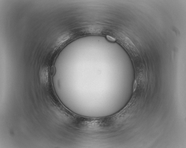 X0000115540120200911201748