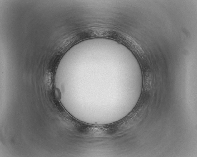 X0000115540121200911201748