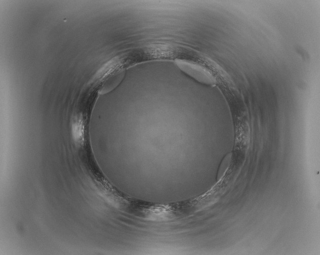 X0000115540124200911201748