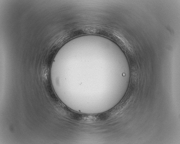 X0000115540125200911201748