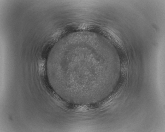 X0000115540127200911201748