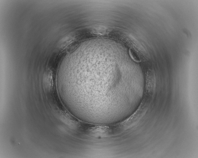 X0000115540128200911201748