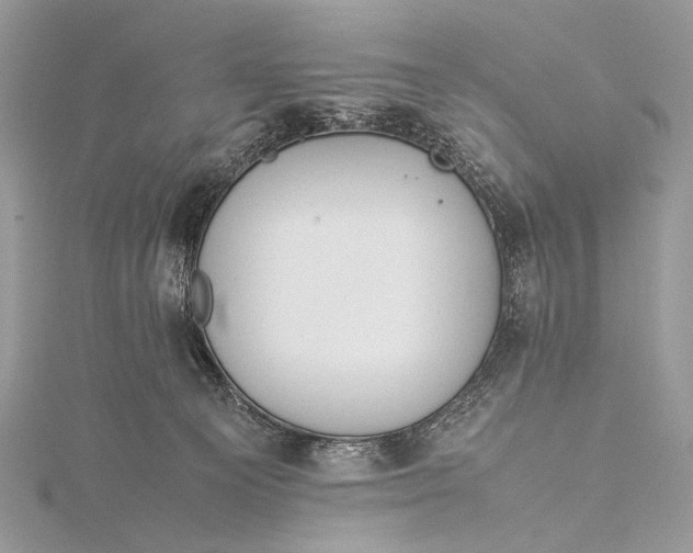 X0000115540129200911201748