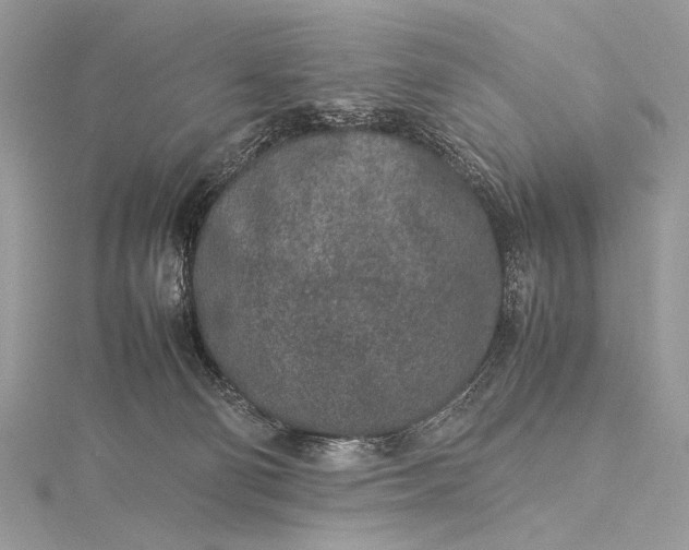 X0000115540130200911201747