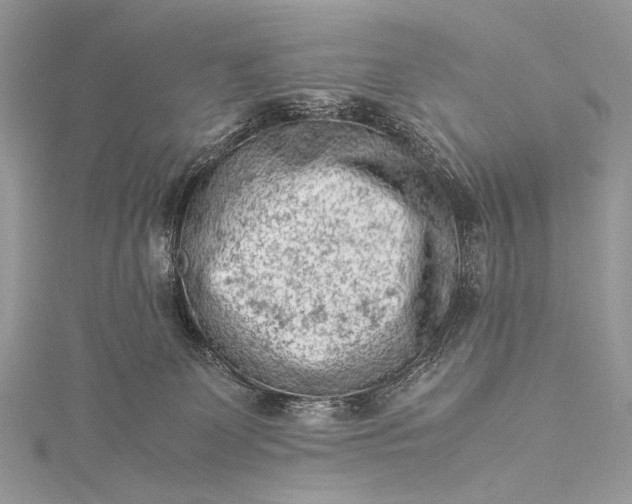 X0000115540131200911201747