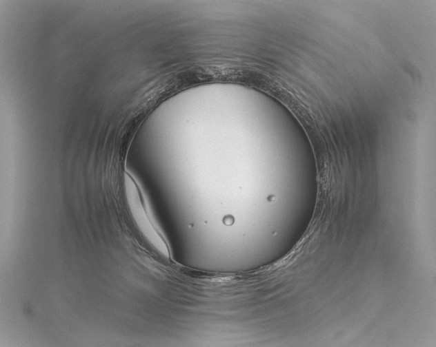 X0000115540132200911201747