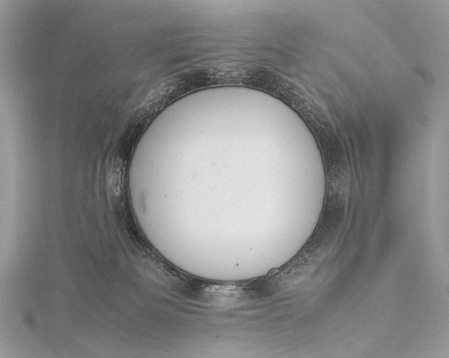 X0000115540133200911201747