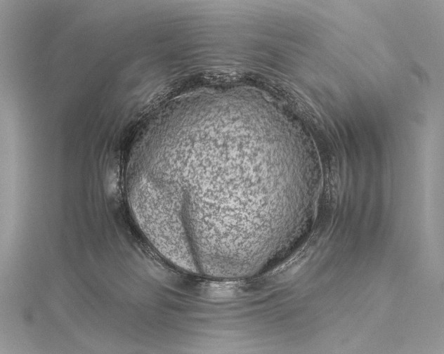 X0000115540134200911201747