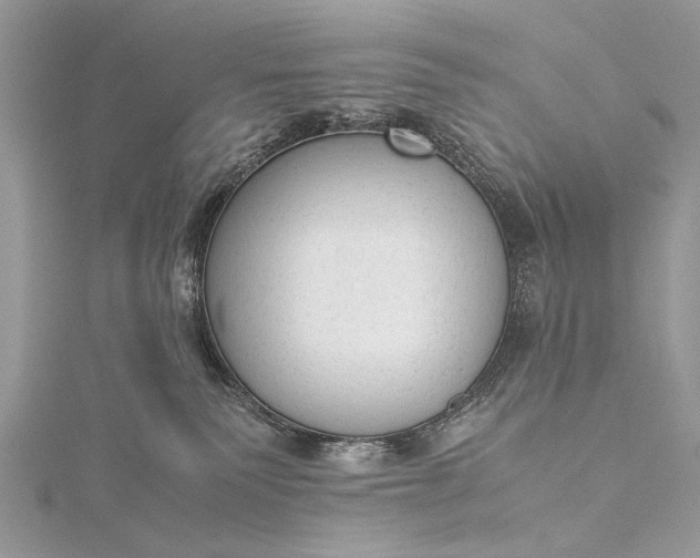 X0000115540135200911201747