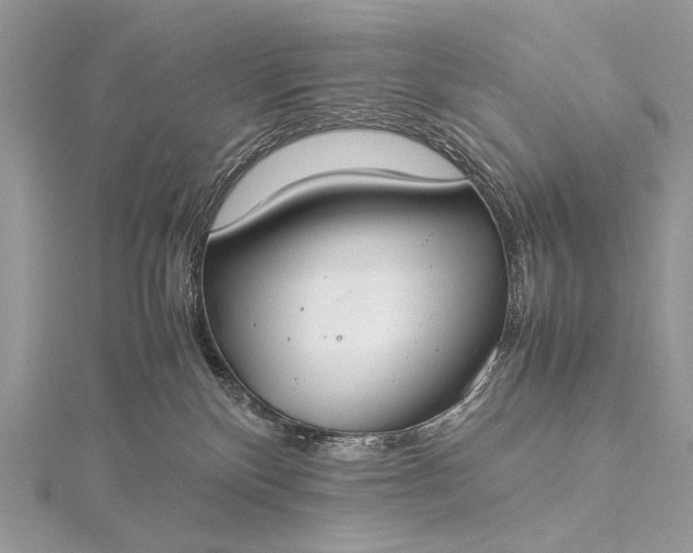 X0000115540136200911201747