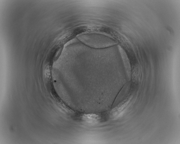 X0000115540137200911201747