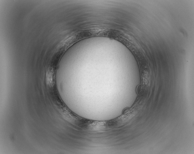 X0000115540138200911201747