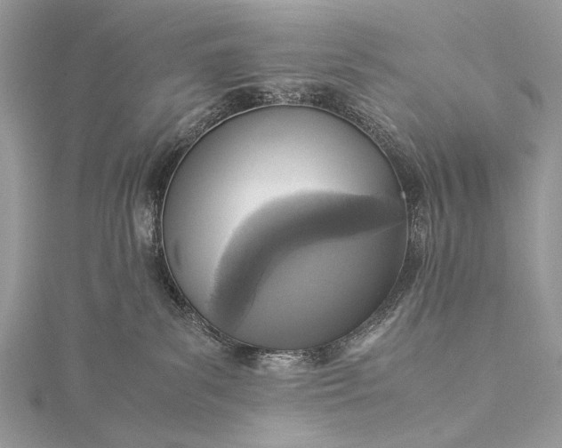 X0000115540139200911201747