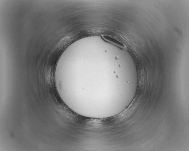 X0000115540140200911201747