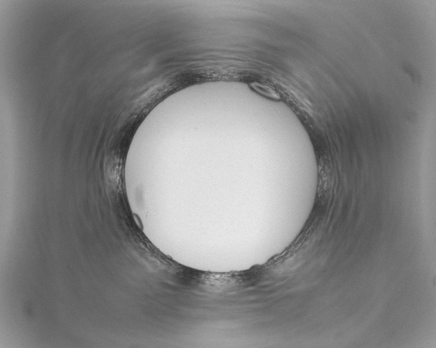 X0000115540141200911201747