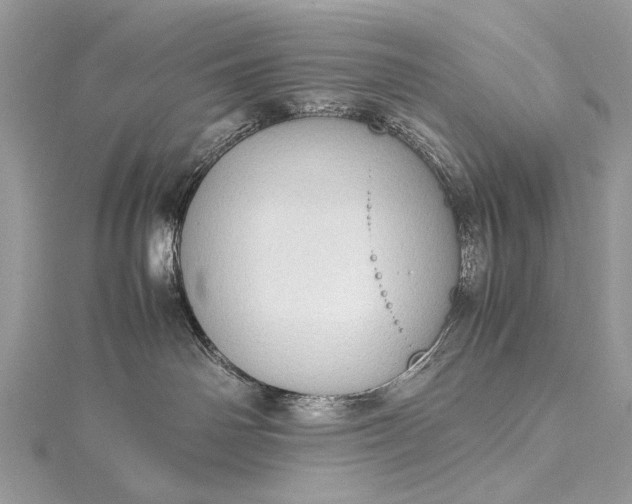 X0000115540142200911201747