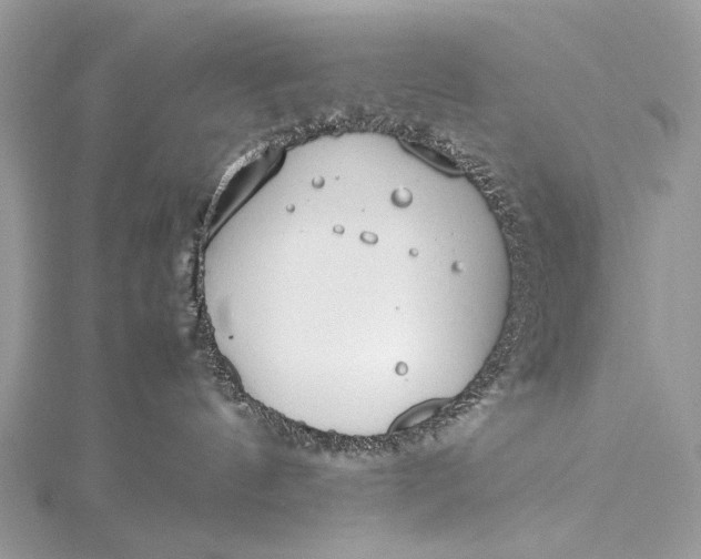 X0000115540144200911201747