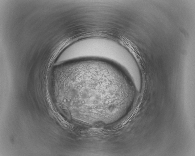 X0000115540145200911201747