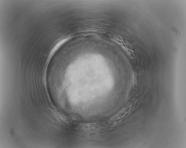 X0000115540147200911201747