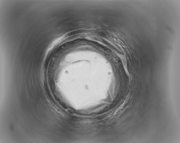 X0000115540149200911201747