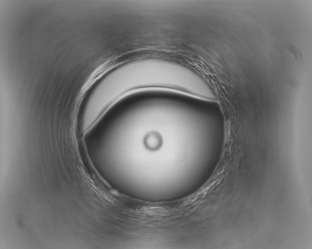 X0000115540150200911201747