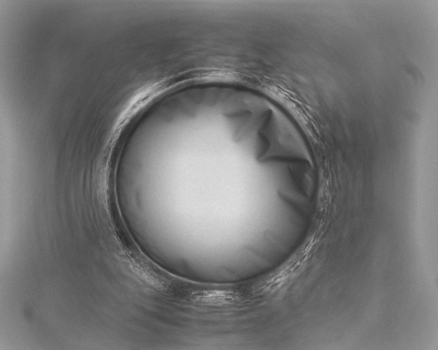 X0000115540151200911201747