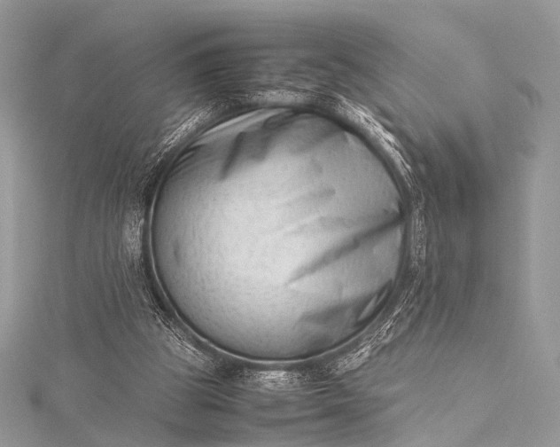 X0000115540153200911201747