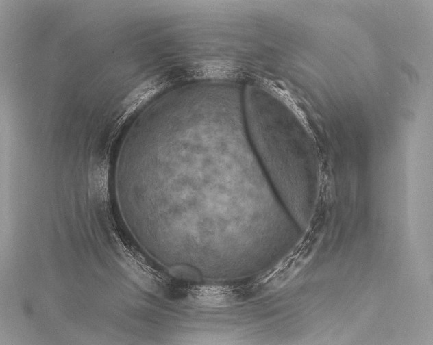 X0000115540154200911201747