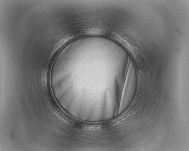 X0000115540155200911201747