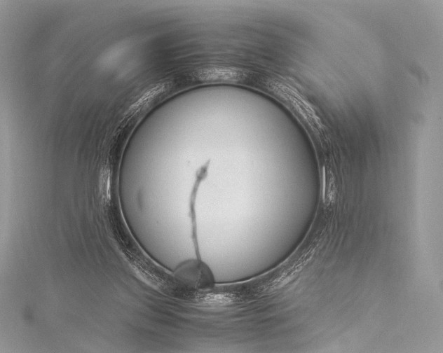 X0000115540157200911201747