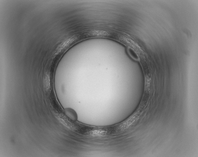 X0000115540158200911201747