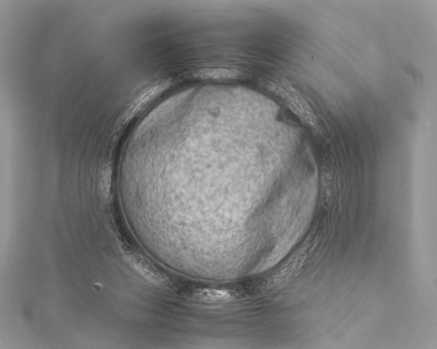 X0000115540159200911201747