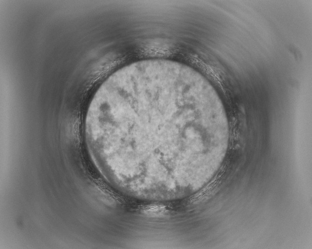 X0000115540162200911201747