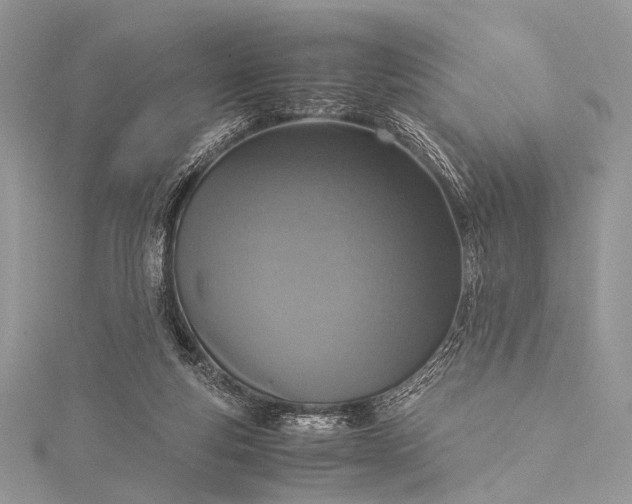 X0000115540163200911201747