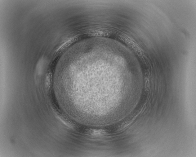 X0000115540165200911201747