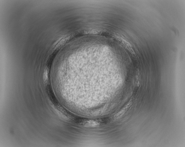 X0000115540166200911201747