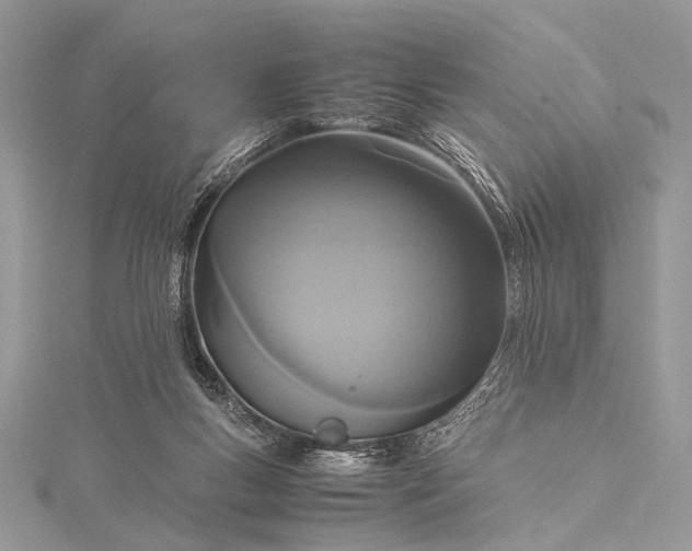 X0000115540167200911201747